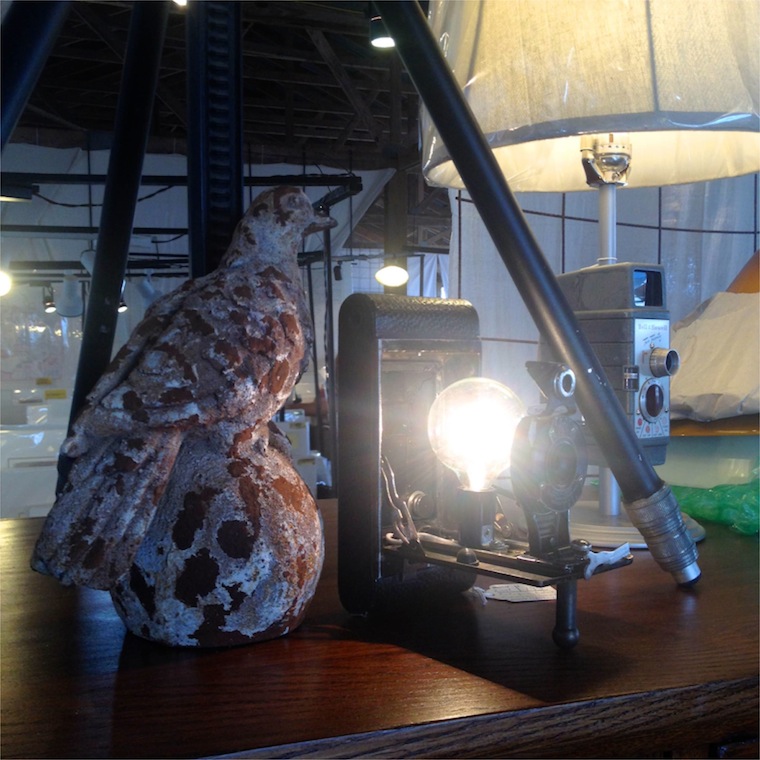 loblolly camera lamp