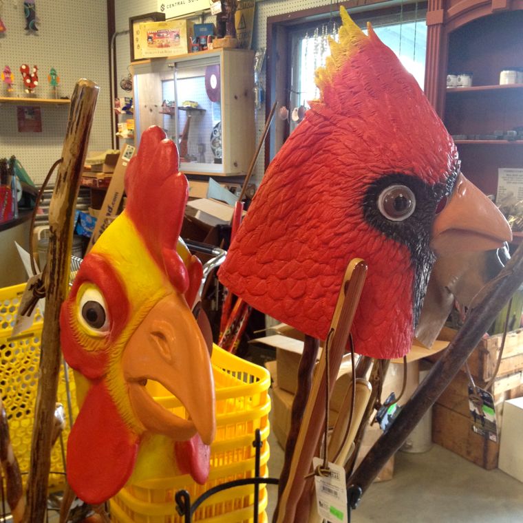 ICM Bird Masks