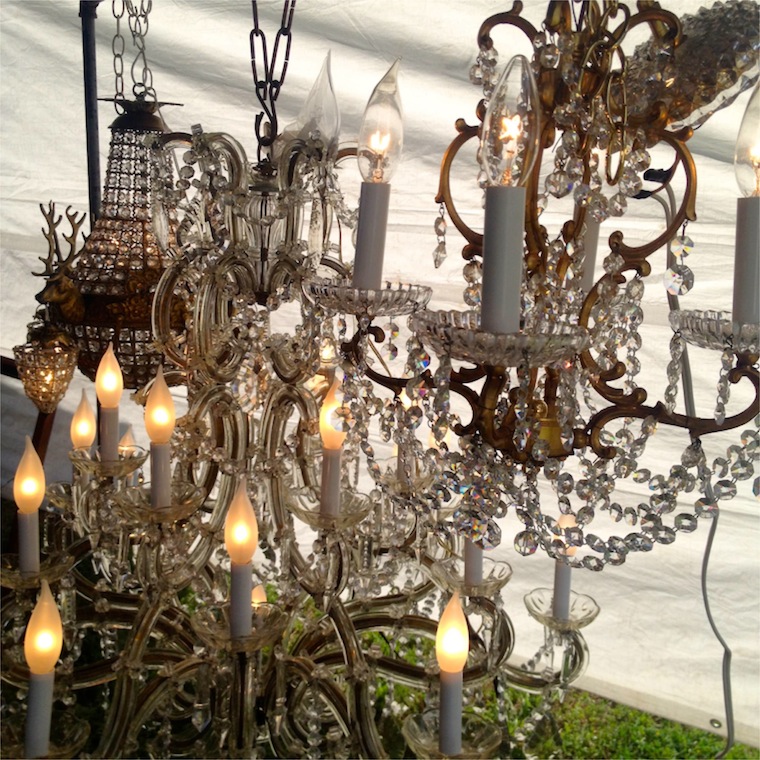 Texas Rose Chandelier