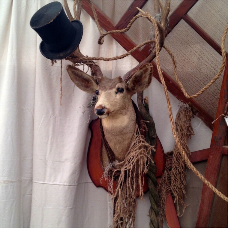 perspective deer top hat