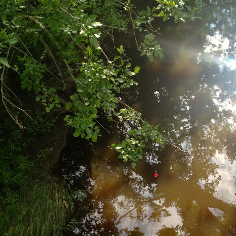 Willow Bridge Bobber