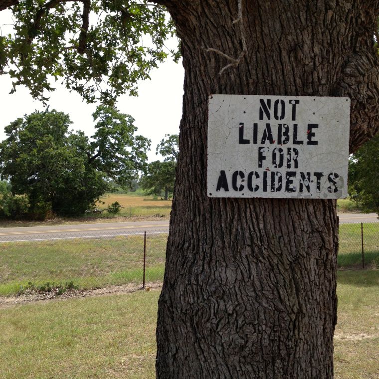 Rabbits Not Liable