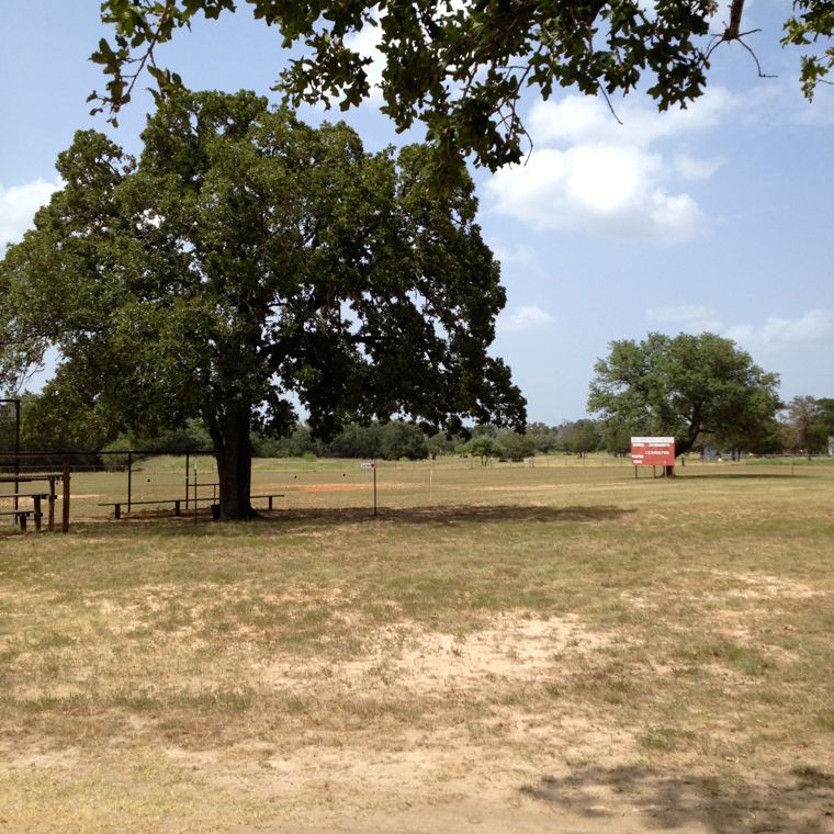 Rabbits Tree and Board