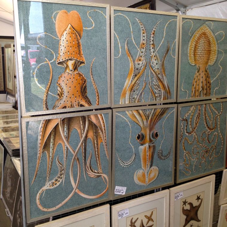 Triptych Squid