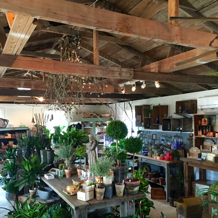 Garden Co Garden Shop